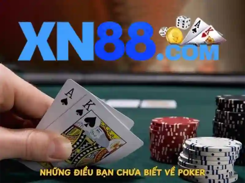 Giới thiệu về xn88