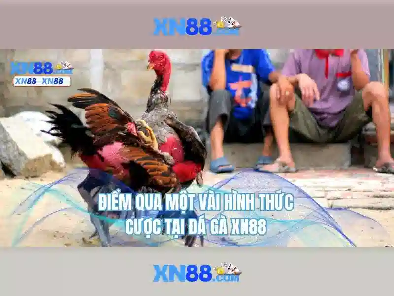 Ket_luan_xn88 Ket_luan_xn88