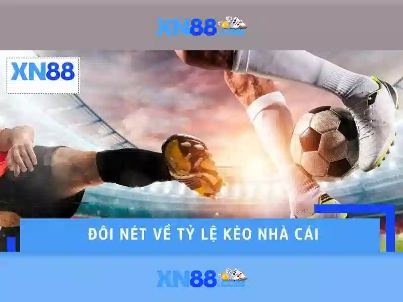 XN88: Nền tảng giải trí và trò chơi trực tuyến uy tín