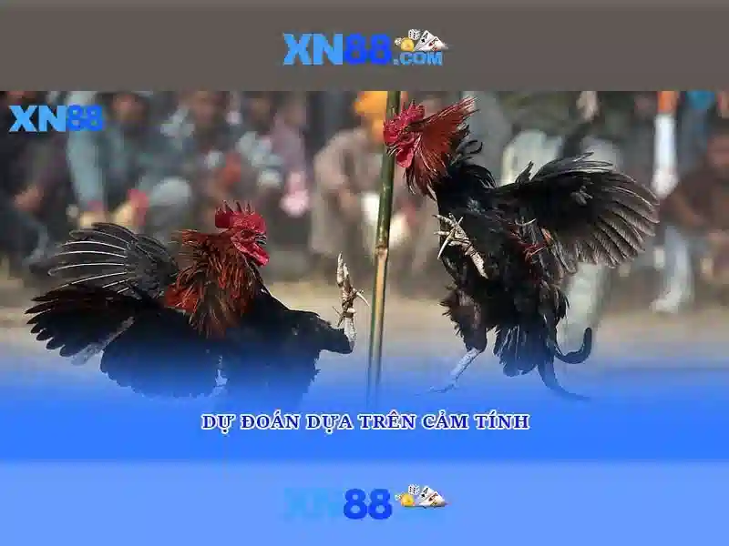 xn88,com – Dẫn đường đổi mới số với tool xn88 và xn88 fit