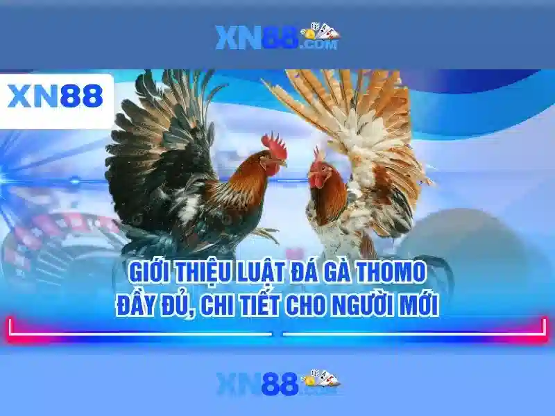 Kết luận và lời khuyên cho người dùng Kết luận và lời khuyên cho người dùng