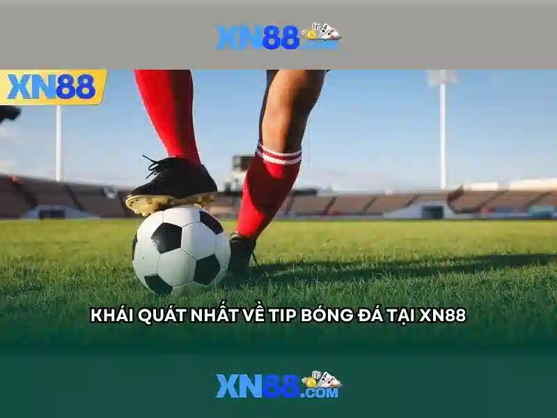 Lịch sử và nguồn gốc