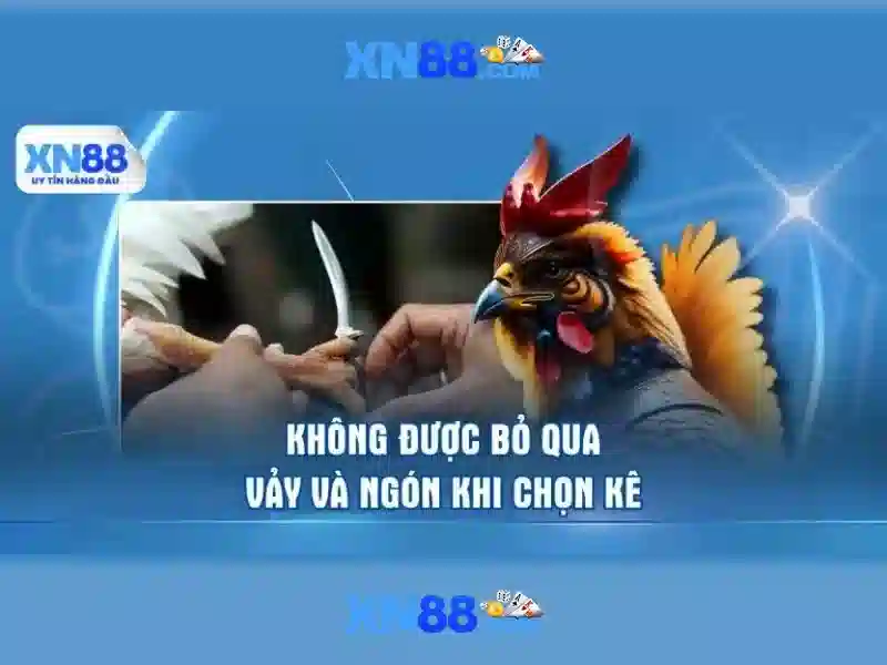 xn88: Đánh giá và khám phá nền tảng giải trí trực tuyến
