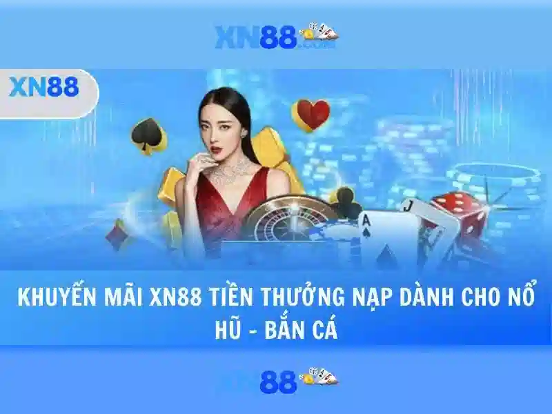 Phản hồi cộng đồng và trải nghiệm người dùng