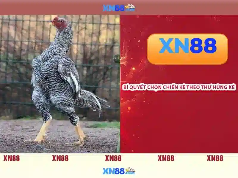 xn88-xn88 – Tổng quan chủ đề và giá trị cốt lõi