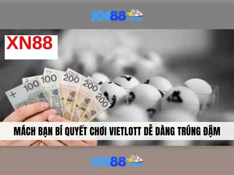 Trải nghiệm người dùng và phản hồi từ cộng đồng