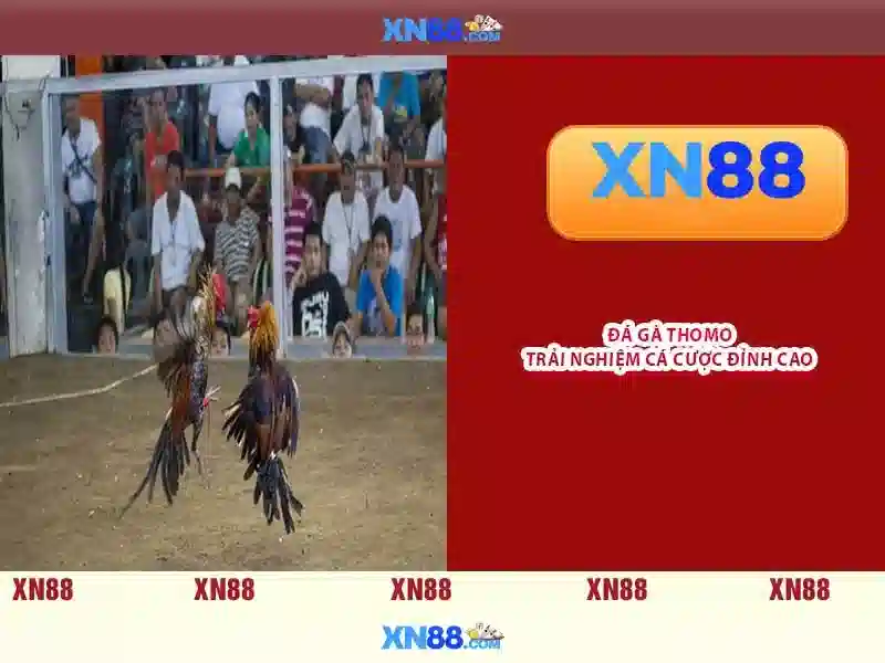 Cấu trúc bài viết theo chủ đề Cấu trúc bài viết theo chủ đề