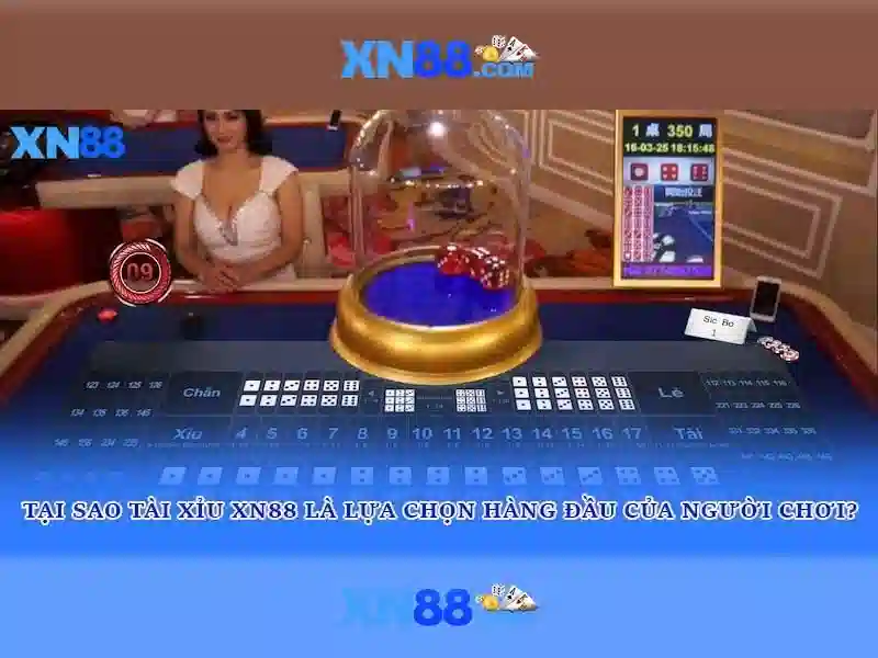 XN88: Tổng quan và trải nghiệm người dùng