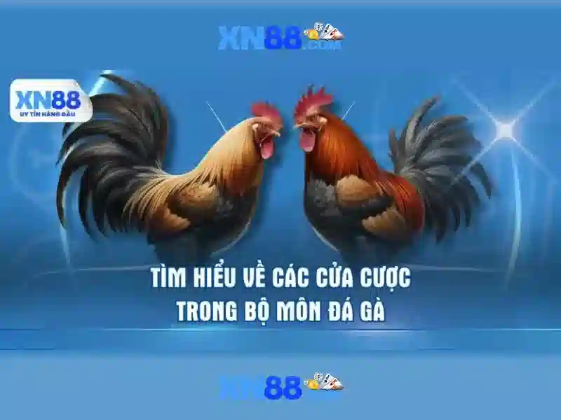 Tổng quan và giá trị cốt lõi