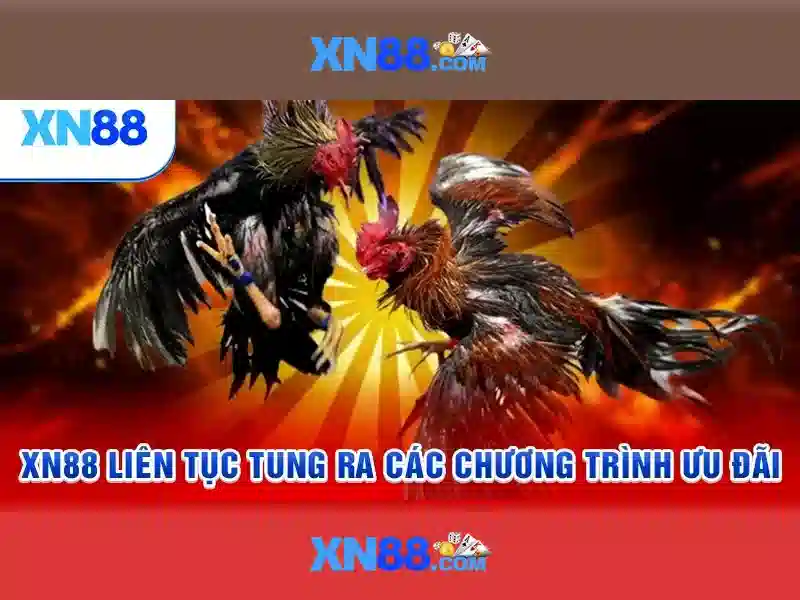 link vào xn88 – Tổng quan chủ đề và giá trị cốt lõi link vào xn88 – Tổng quan chủ đề và giá trị cốt lõi