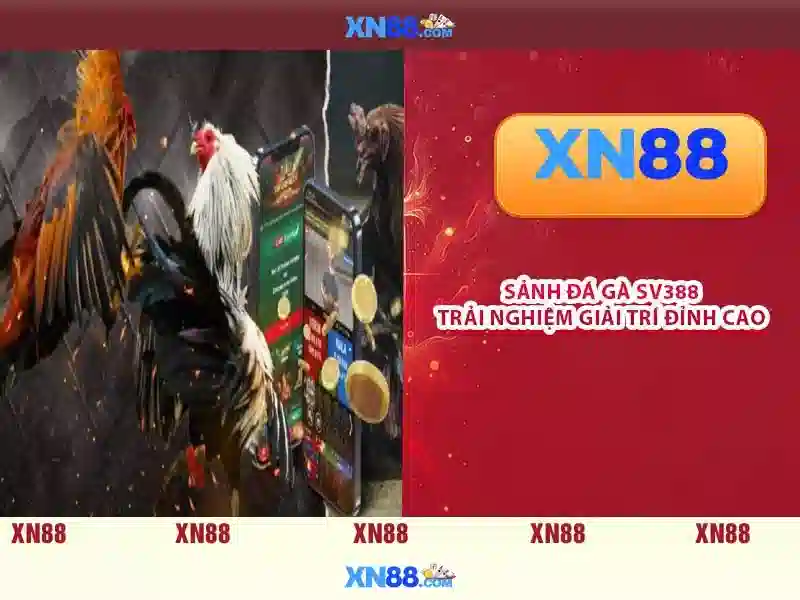 xn88: Nen tang giai tri truc tuyen va cong dong nguoi choi