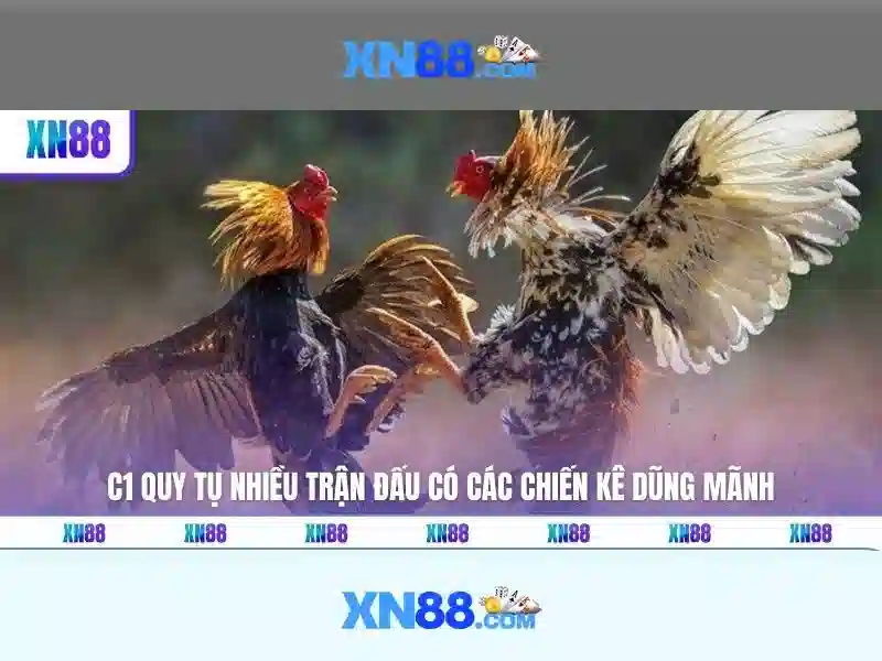 Trải nghiệm người dùng và phản hồi cộng đồng Trải nghiệm người dùng và phản hồi cộng đồng