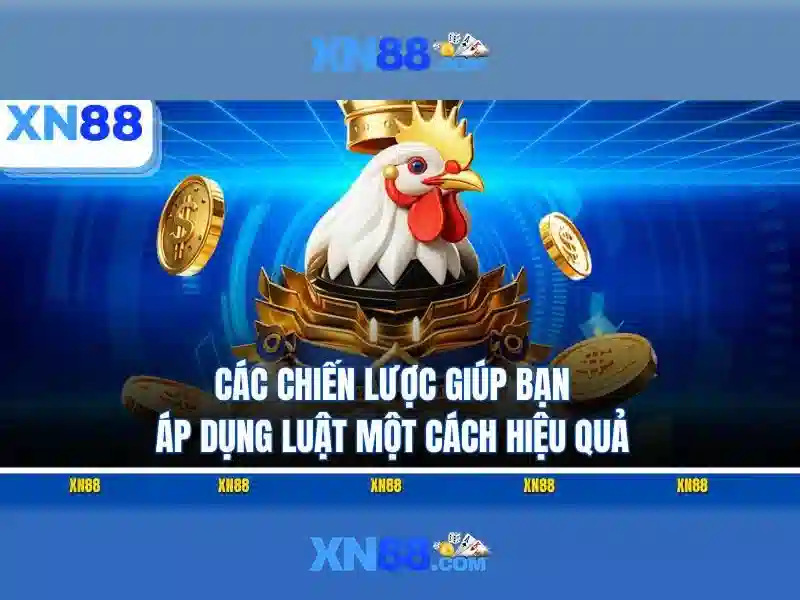 Trải nghiệm người dùng và an toàn