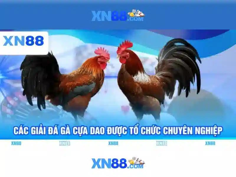 Tính năng nổi bật