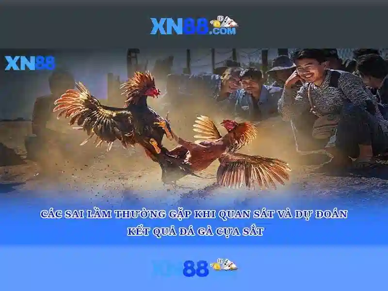 xn88: Tổng quan, chơi và an toàn