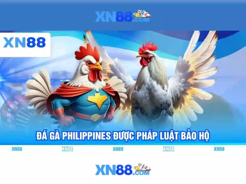 XN88: Giới thiệu về nền tảng công nghệ và tiềm năng