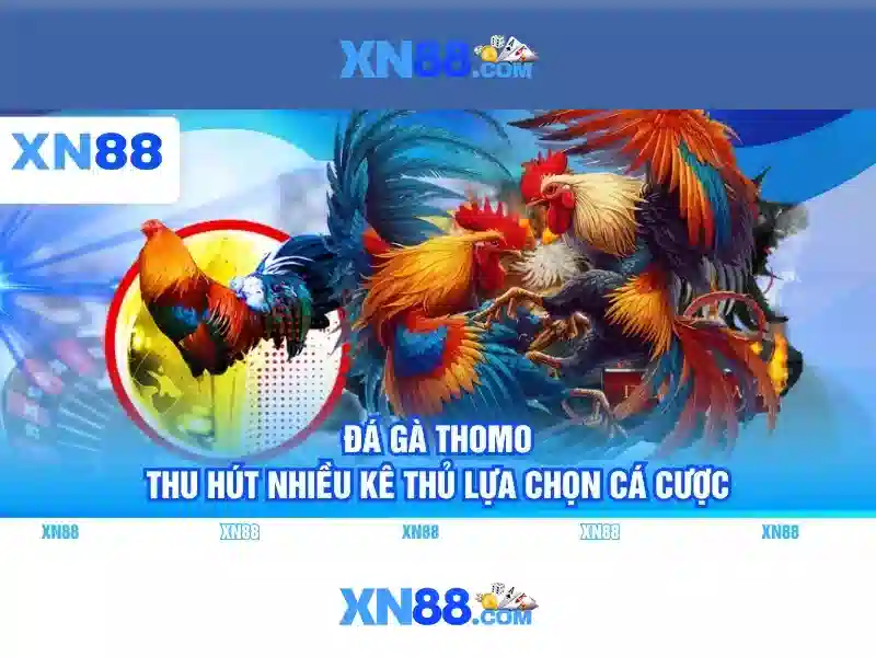 XN88: Giới thiệu và trải nghiệm trực tuyến an toàn