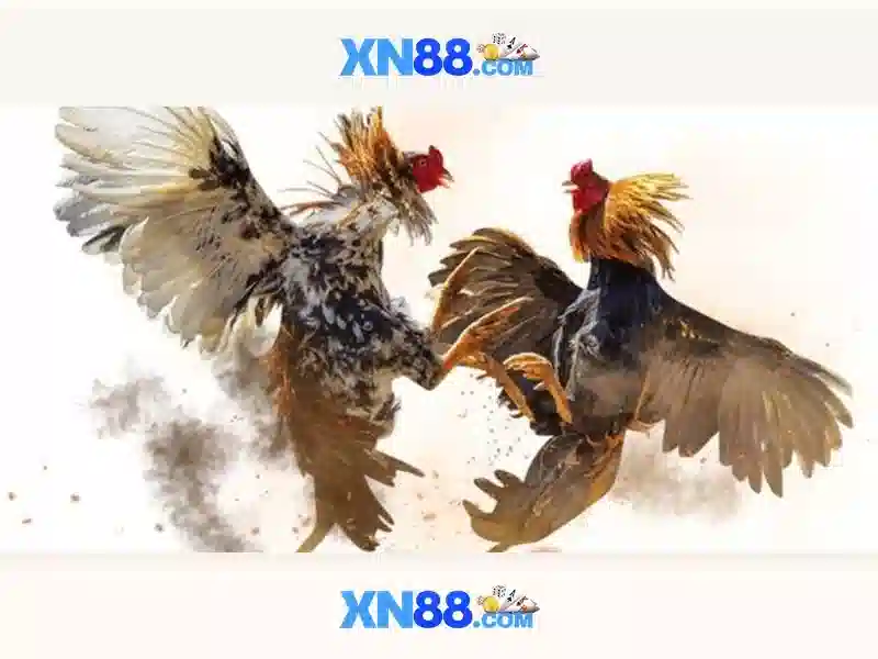 An toàn và bảo mật