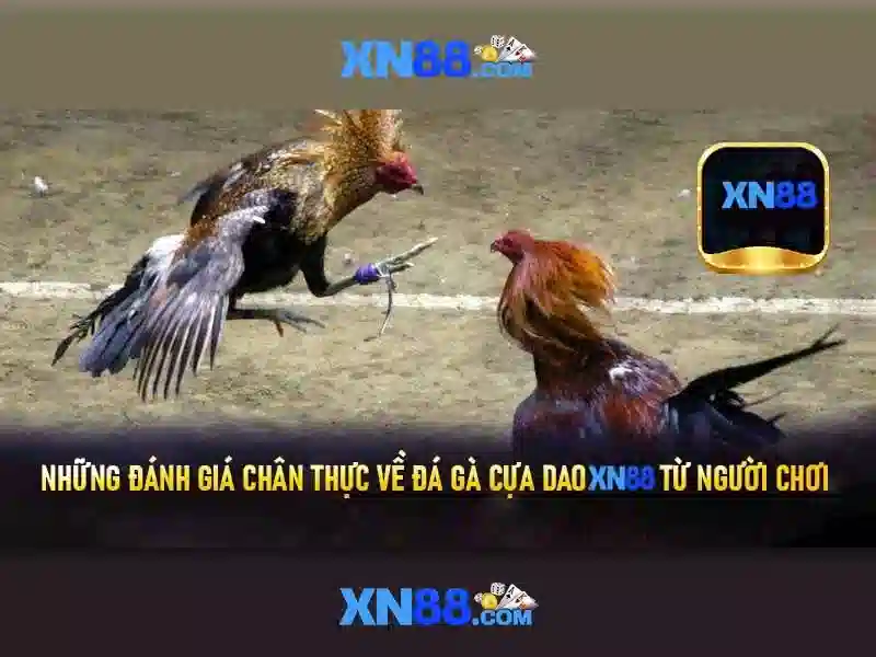 Tương tác xã hội và hỗ trợ khách hàng Tương tác xã hội và hỗ trợ khách hàng