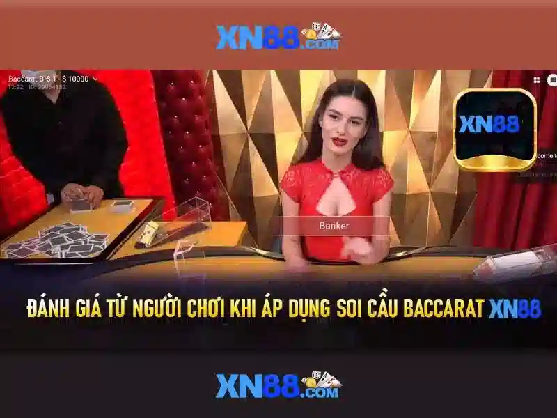 Giới thiệu về xn88