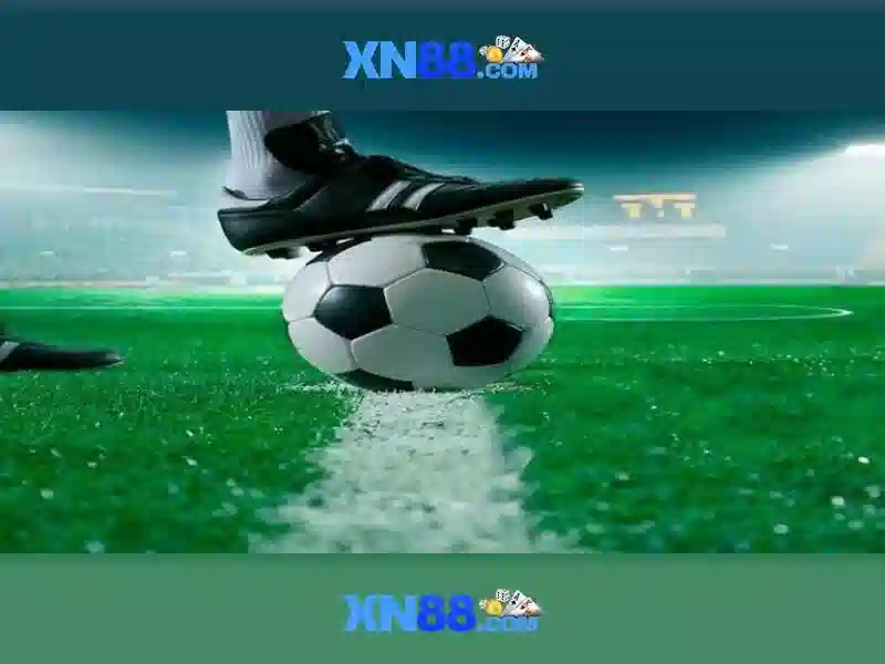 Trải nghiệm người dùng