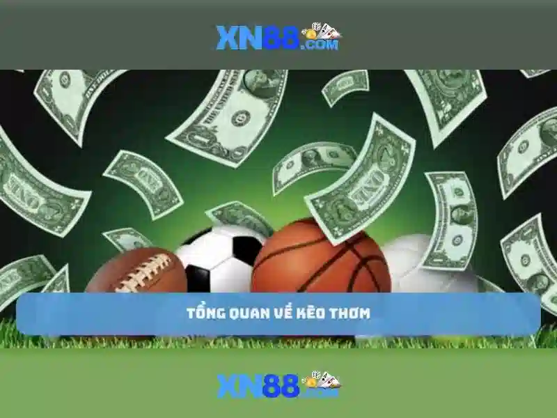 XN88: Tổng quan về hệ sinh thái và cách tận hưởng trò chơi trực tuyến