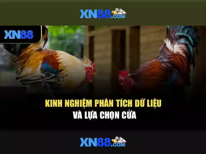 Giới thiệu về xn88