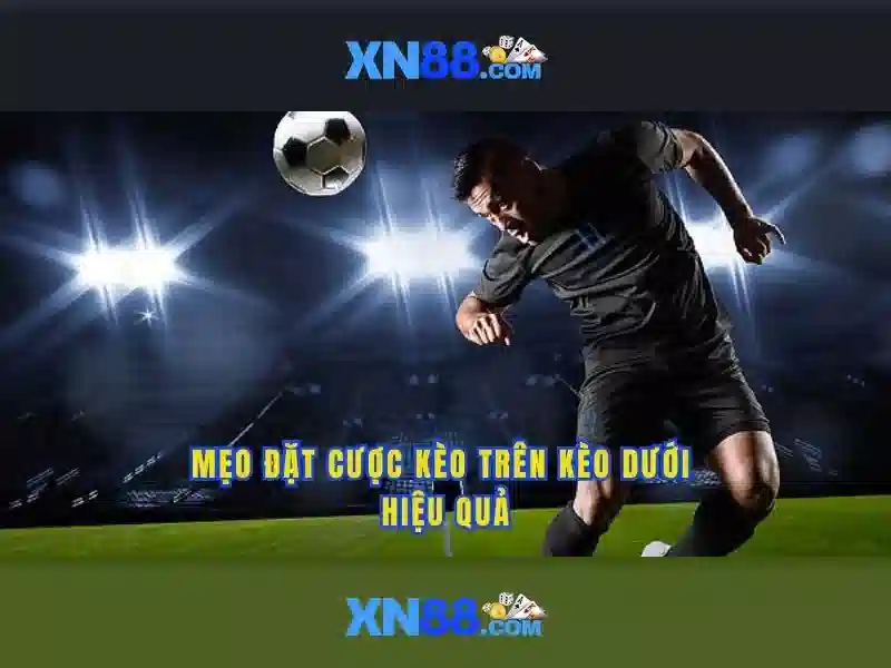 xn88: Nền tảng giải trí trực tuyến nổi bật