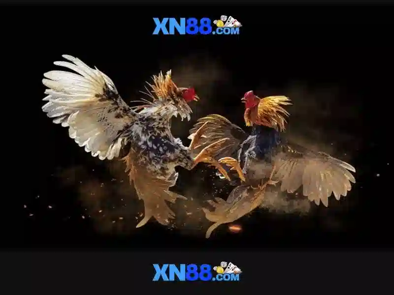 Xn88: Nền tảng giải trí trực tuyến và đánh giá tổng quan
