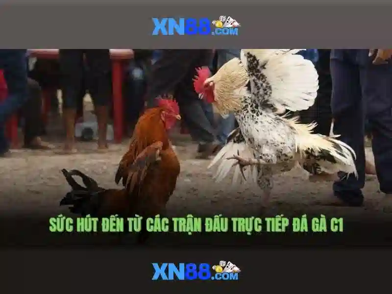 tai app xn88 – Tổng quan và giá trị cốt lõi