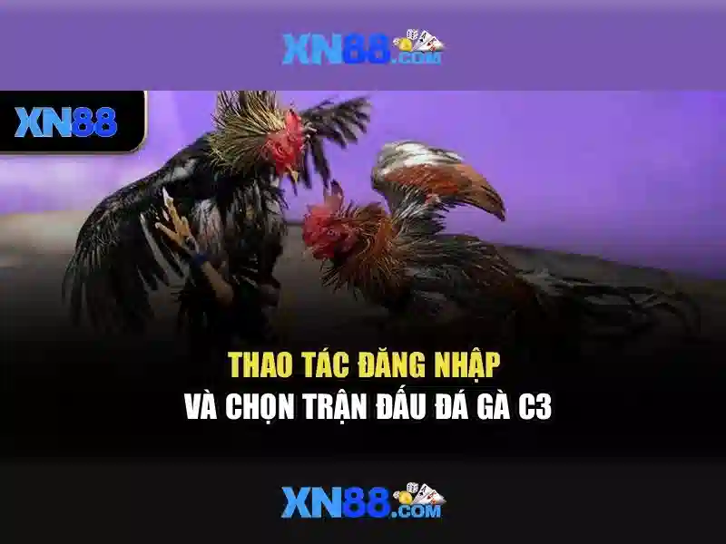 Đặc điểm nổi bật