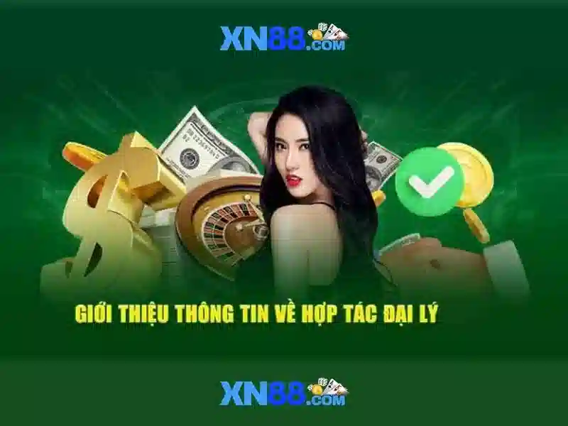 Xn88: Tổng quan về nền tảng đặt cược trực tuyến
