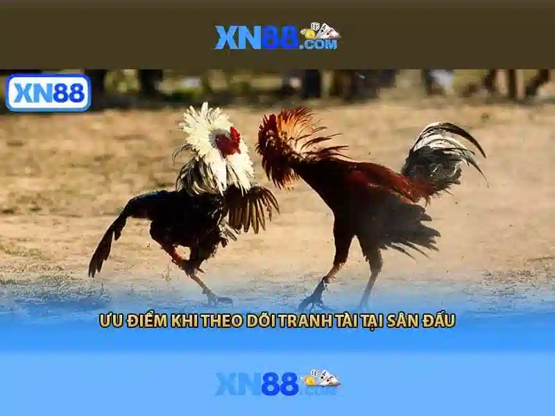 xn88: Tổng quan về nền tảng và trải nghiệm người dùng