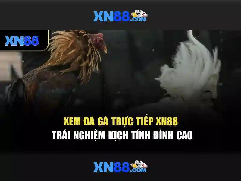 xn88 - Tổng quan, đánh giá và hướng dẫn sử dụng