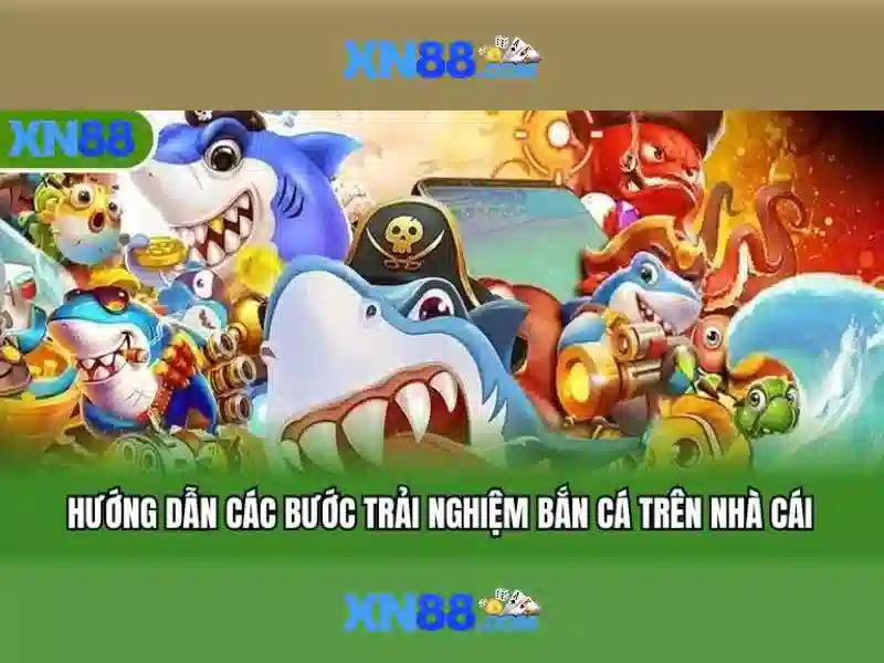 Hỗ trợ khách hàng và thanh toán
