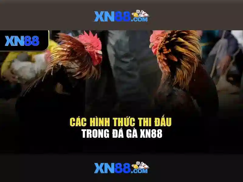 Sản phẩm và dịch vụ cốt lõi: ứng dụng của ap xn88