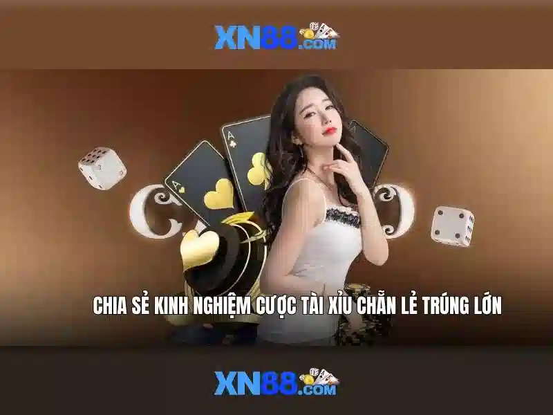 Giao diện người dùng và trải nghiệm