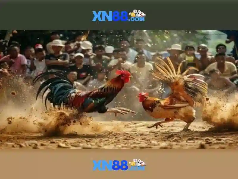 xn88: Tổng quan và những điểm nổi bật