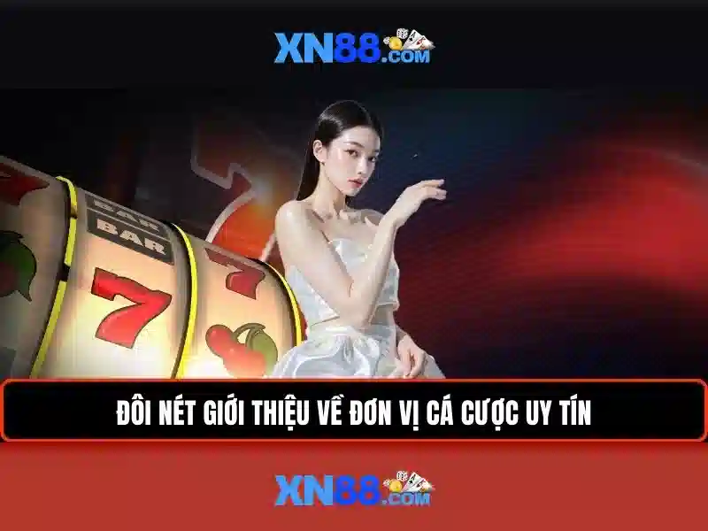 <!--IMG_PLACEHOLDER alt>Trải nghiệm người dùng và phản hồi cộng đồng-->