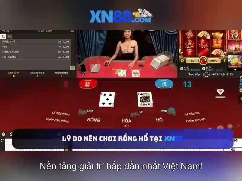 Nền tảng và giao diện Nền tảng và giao diện