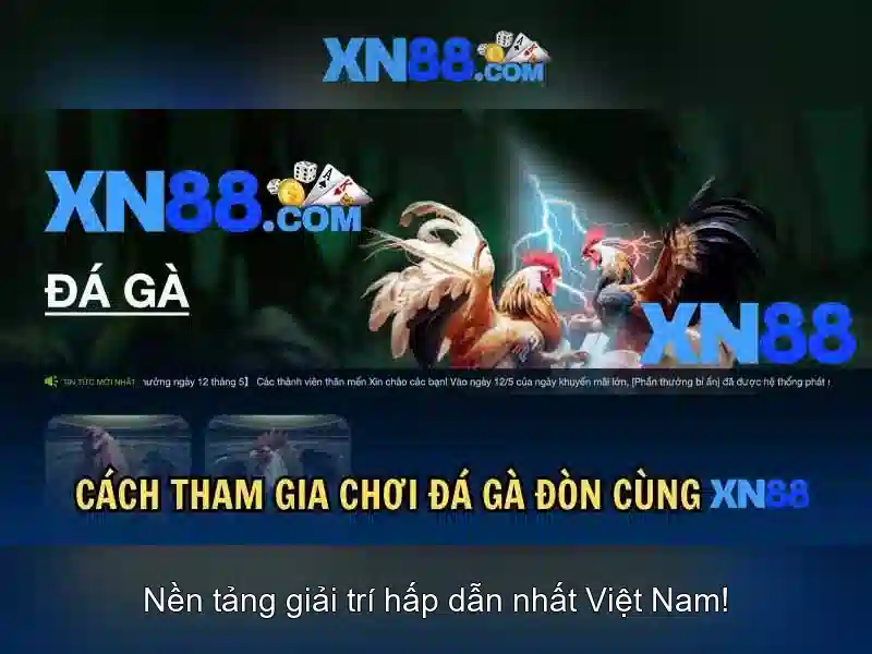 xn88: Câu chuyện về một nền tảng trực tuyến