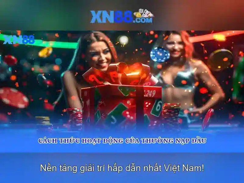 xn88 dang nhap: Đòn bẩy an toàn và trải nghiệm tin cậy
