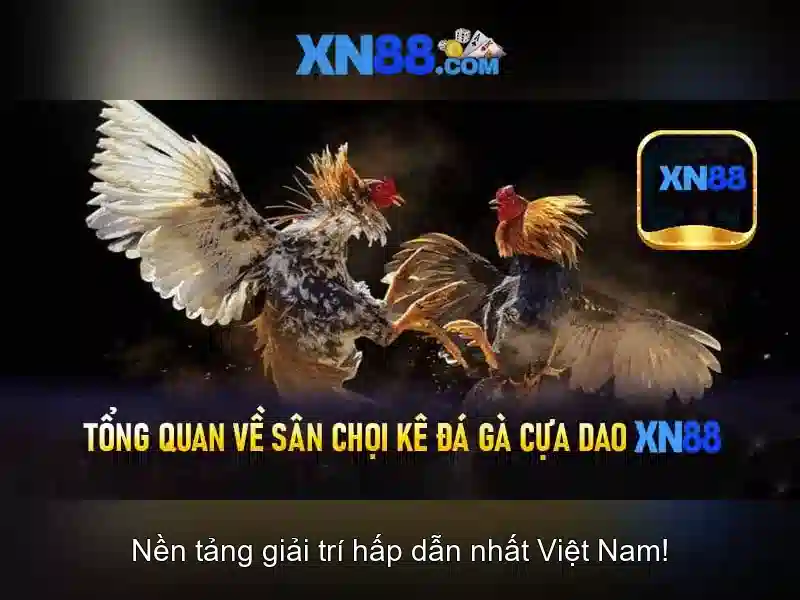 Giới thiệu xn88 Giới thiệu xn88