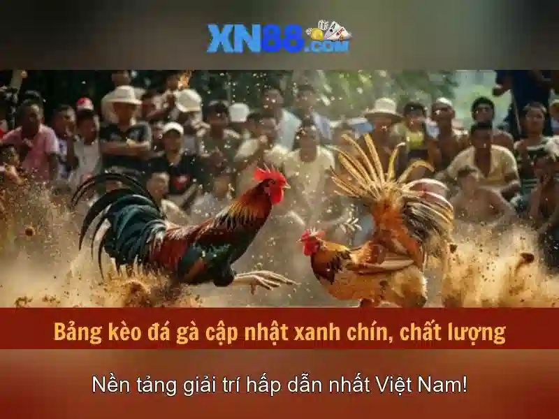 Các tính năng nổi bật của xn88 Các tính năng nổi bật của xn88