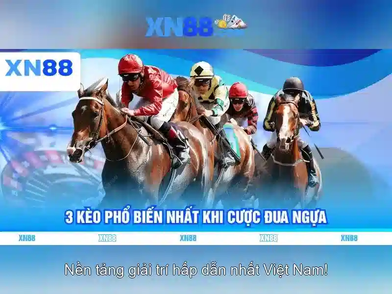 Lịch sử và nguồn gốc