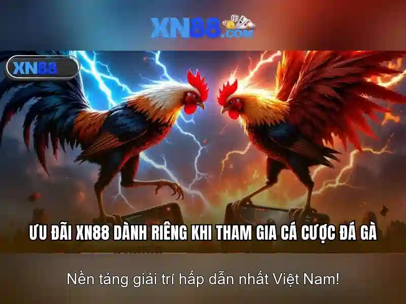 Xn88: một cái nhìn tổng quan về nền tảng trò chơi trực tuyến