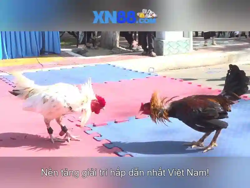 Sản phẩm và dịch vụ cốt lõi của tai app xn88