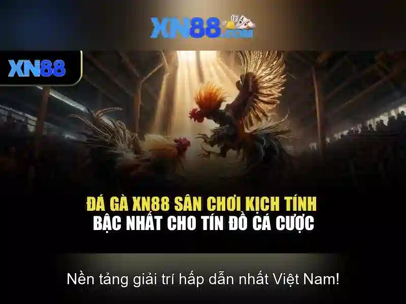 xn88: Giới thiệu và hướng dẫn tham gia