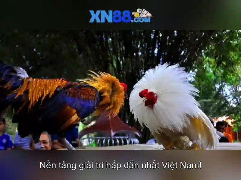 xn88: Tìm hiểu, đánh giá và trải nghiệm