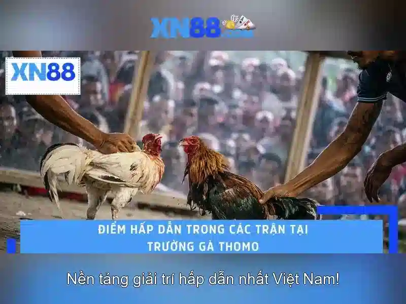 Cấu trúc và tính năng Cấu trúc và tính năng